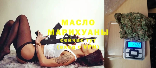 мет Инта