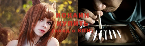 мет Инта