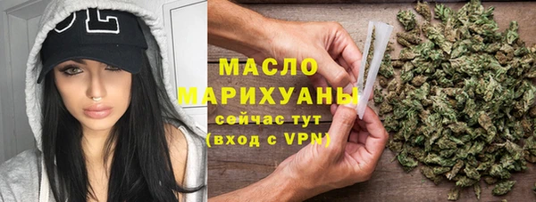 мет Инта
