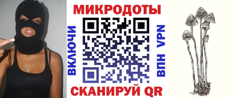 Галлюциногенные грибы мухоморы Купить закладки Богданович